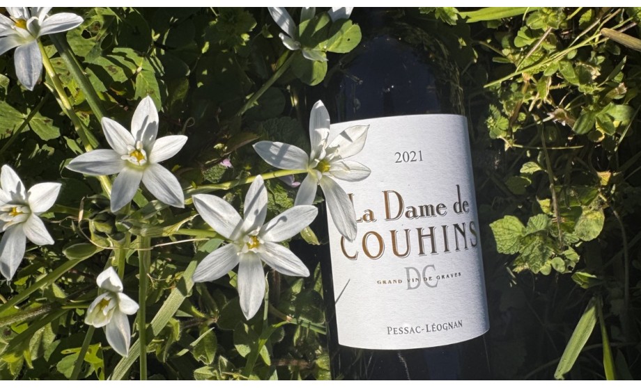 Notre biodiversité : La Dame de onze heures